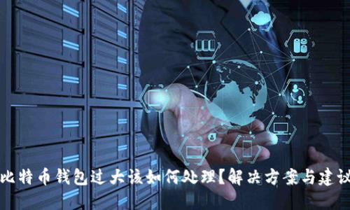 比特币钱包过大该如何处理?解决方案与建议