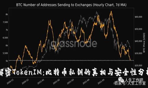 解密TokenIM：比特币私钥的真相与安全性分析