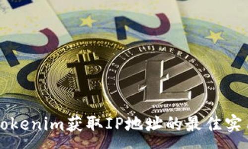 :
利用tokenim获取IP地址的最佳实用指南