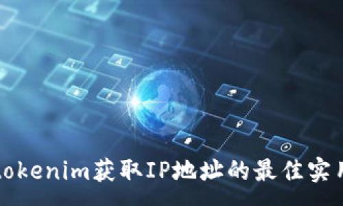 :
利用tokenim获取IP地址的最佳实用指南