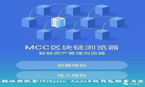 最早支持比特现金（Bitcoin Cash）的钱包推荐与使用指南
