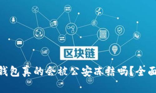 Tokenim冷钱包真的会被公安冻结吗？全面揭秘与分析