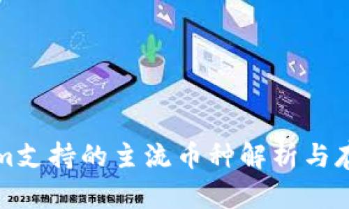 Tokenim支持的主流币种解析与存储指南