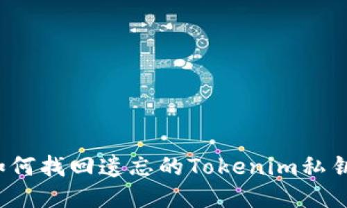 如何找回遗忘的Tokenim私钥？