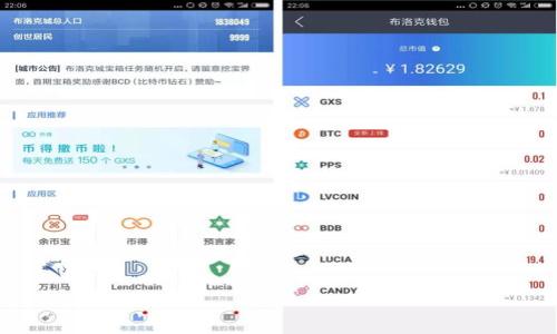 

Zcash钱包的选择与使用指南：保护你的隐私与资产