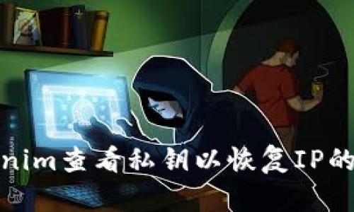 使用Tokenim查看私钥以恢复IP的完整指南