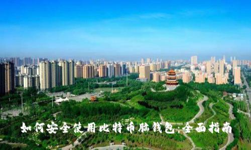 如何安全使用比特币脑钱包：全面指南