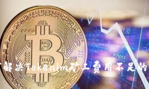 如何解决Tokenim矿工费用不足的问题