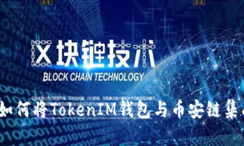 : 如何将TokenIM钱包与币安链集成？
