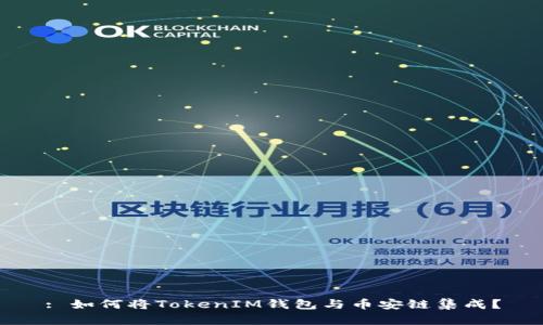 : 如何将TokenIM钱包与币安链集成？