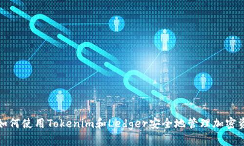: 如何使用Tokenim和Ledger安全地管理加密资产