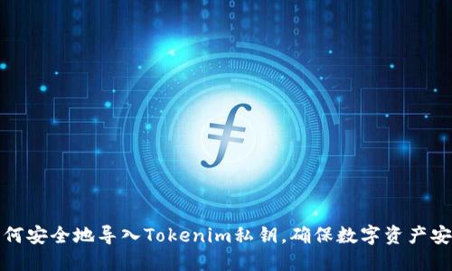 如何安全地导入Tokenim私钥，确保数字资产安全