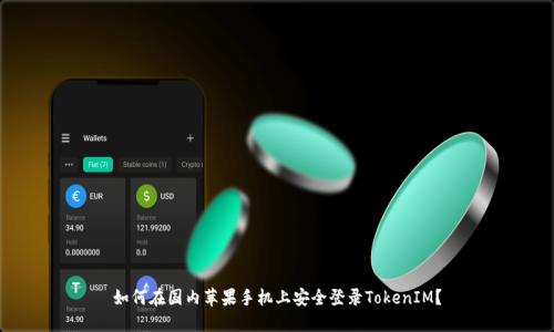 如何在国内苹果手机上安全登录TokenIM？