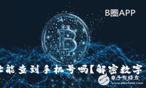 区块链钱包地址能查到手机号吗？解密数字货币隐私与安全