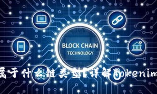 Tokenim地址属于什么链类型？详解Tokenim的区块链属性