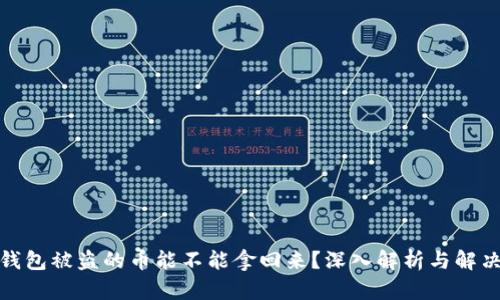 数字钱包被盗的币能不能拿回来？深入解析与解决方案