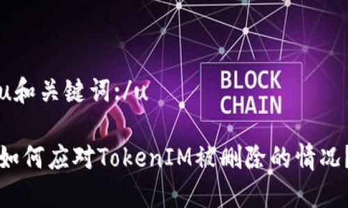 u和关键词:/u

如何应对TokenIM被删除的情况？