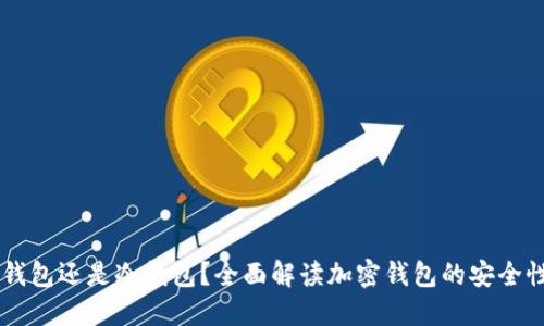 Tokenim：热钱包还是冷钱包？全面解读加密钱包的安全性与使用场景