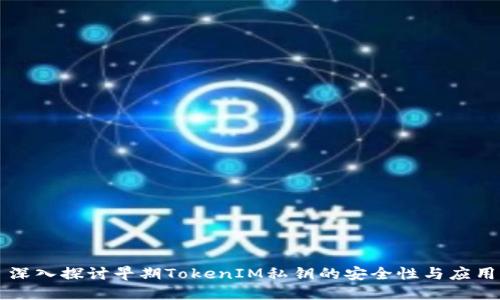 深入探讨早期TokenIM私钥的安全性与应用