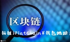 如何创建铂链（PlatChain）钱包地址：完整指南