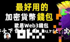 如何安全下载和使用 Burst ：完整指南