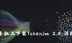 如何在苹果手机上下载Tokenim 2.0：详细步骤与技巧